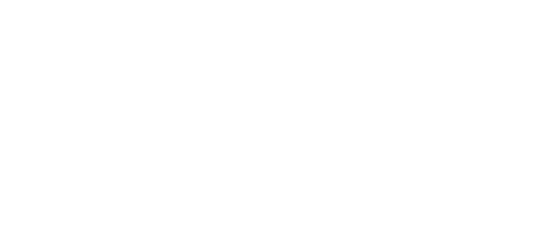 Signature 6 Customs